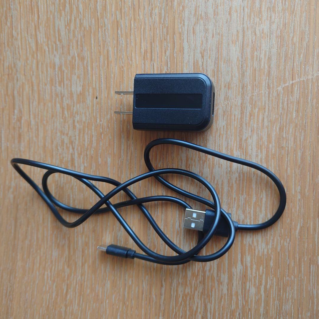 ミスアリーヴォ ザ・レイス　定価154000　公式HPで購入　フォクシー