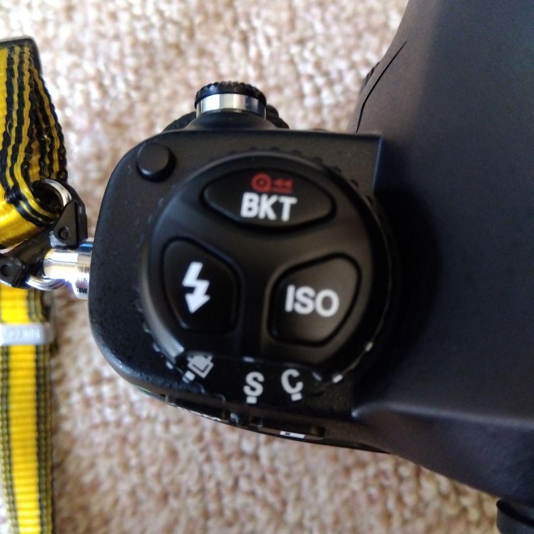 Nikon F100 一眼レフカメラ　＋MB15＋SB28