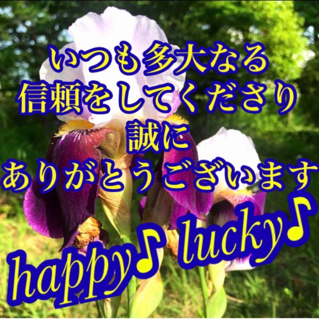 秘符(jknayuta)三尸九蟲　勝利　信頼　契約履行　護符　霊符　お守り