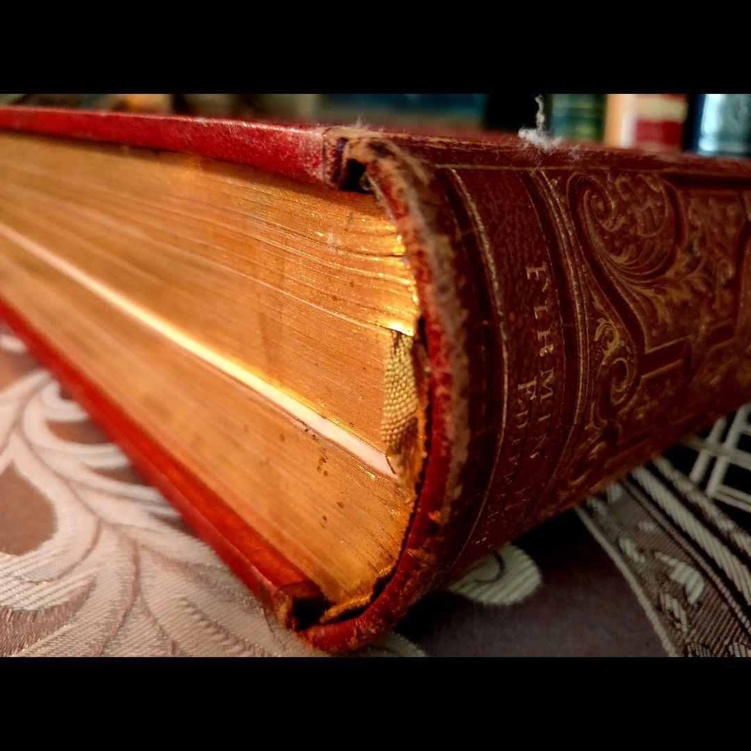 ⭐超希少⭐️２９cm【フランス製の古い洋書】革製の高級感度ある洋古書 １冊