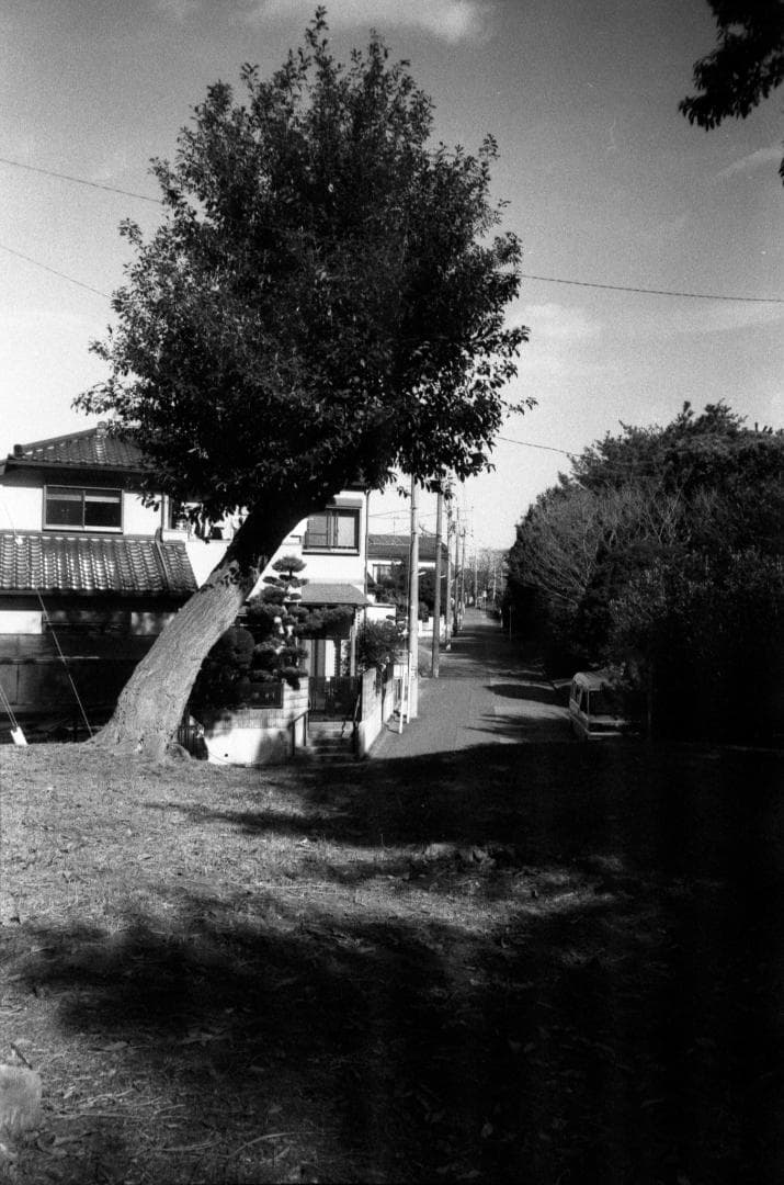 【完動品】作例あり　Konica Big mini A4　ビッグミニ