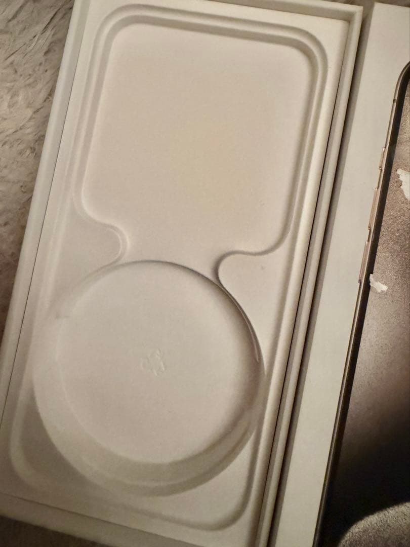 Apple iPhone 15 Pro + ケース　128GB アイフォン