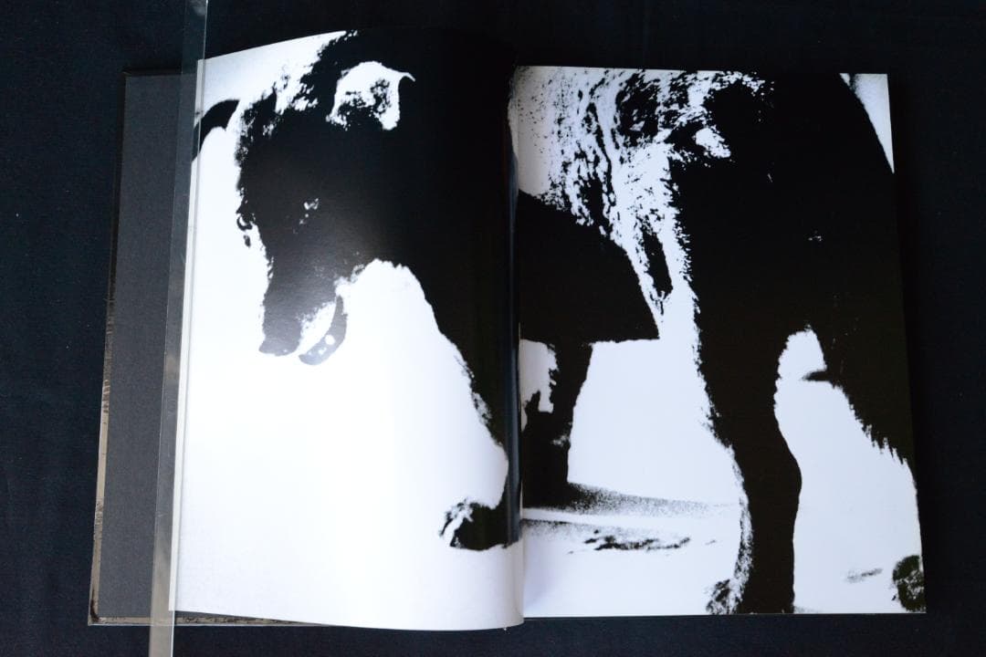 DAIDO MORIYAMA：Retrospective Since 1965