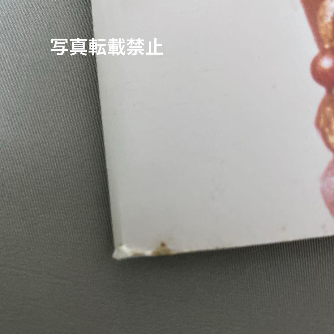 Bert Stern Fotografie Portfolio 49(洋書)