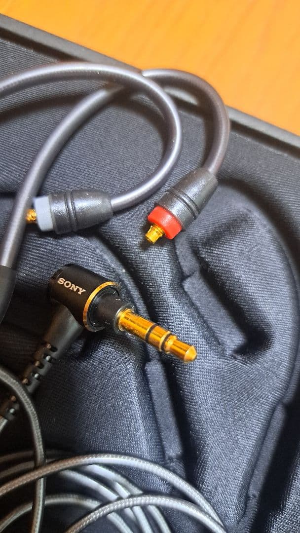 ソニー SONY イヤホン IER-M9