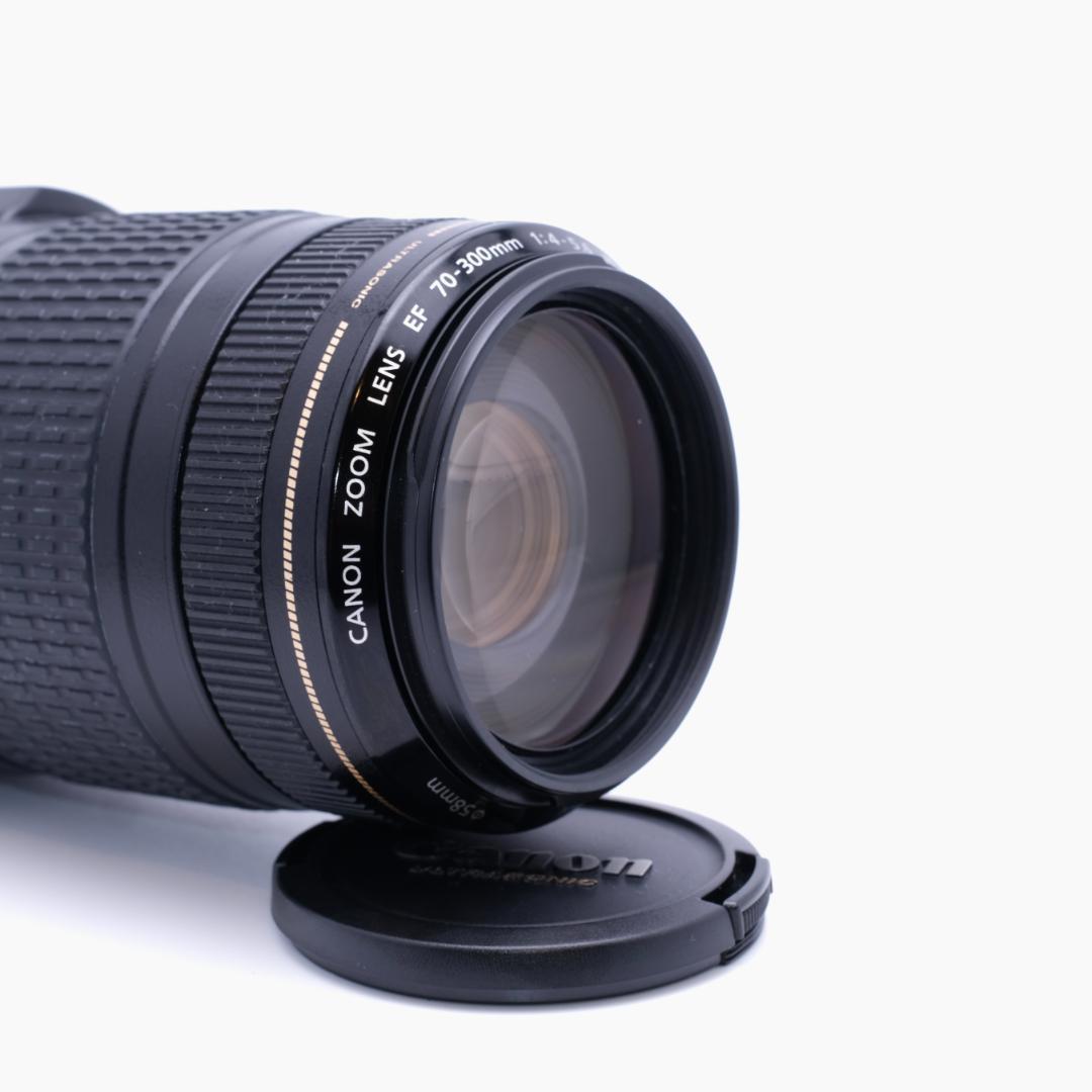 Canon EF 70-300mm F4-5.6 IS USM 手振れ補正