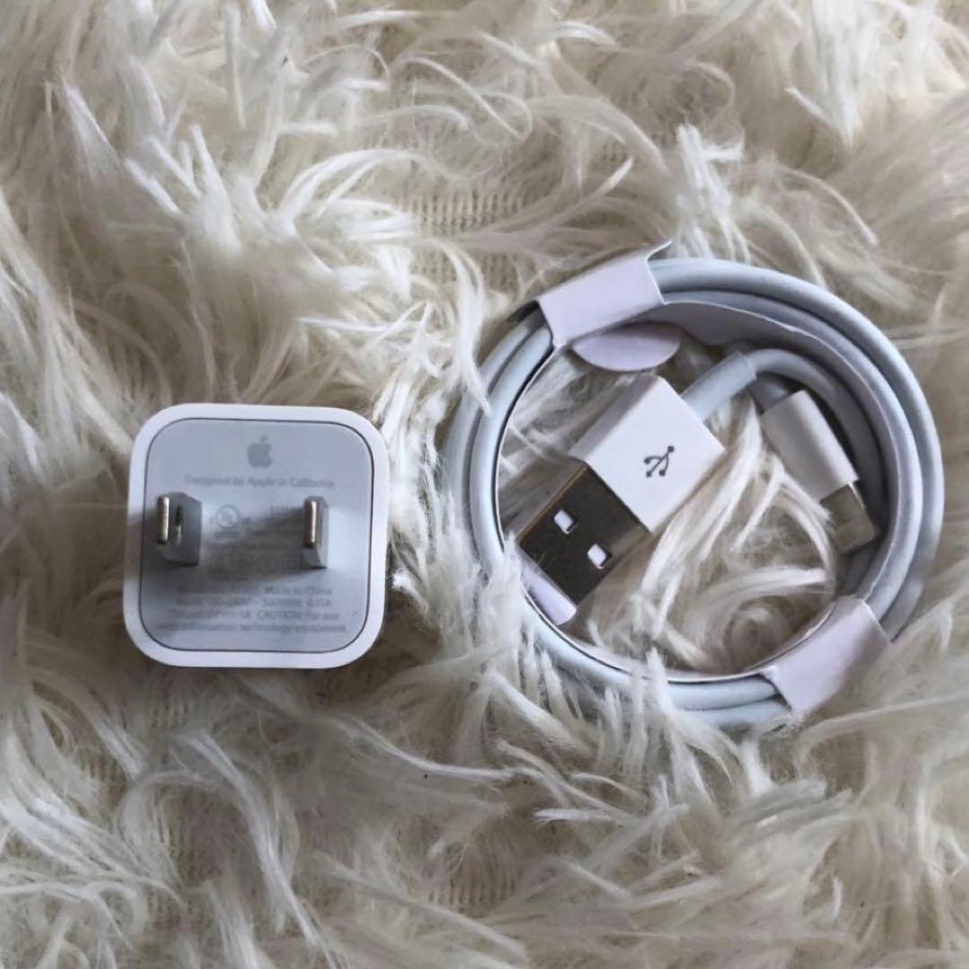 【早い者勝ち】iPad Pro 10.5 256GB 【すぐ発送】【付属品】