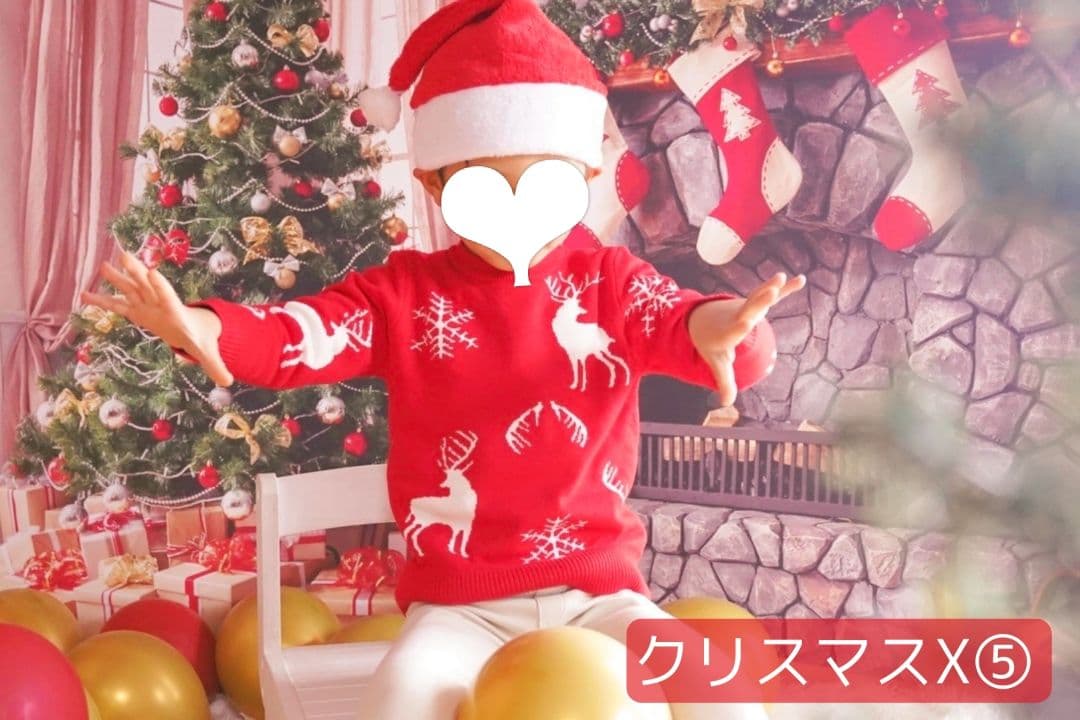 背景布【　お正月E　】サンプル　年賀状、ペット、子供撮影用　和柄　赤富士　梅の花