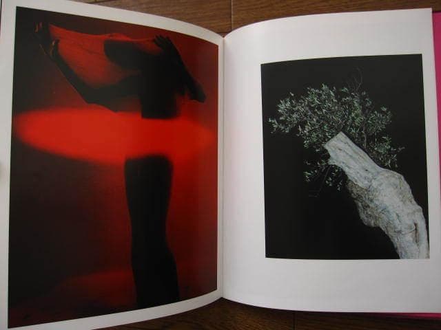 Father　Harley Weir　ハーリー・ウィアー　限定1000部