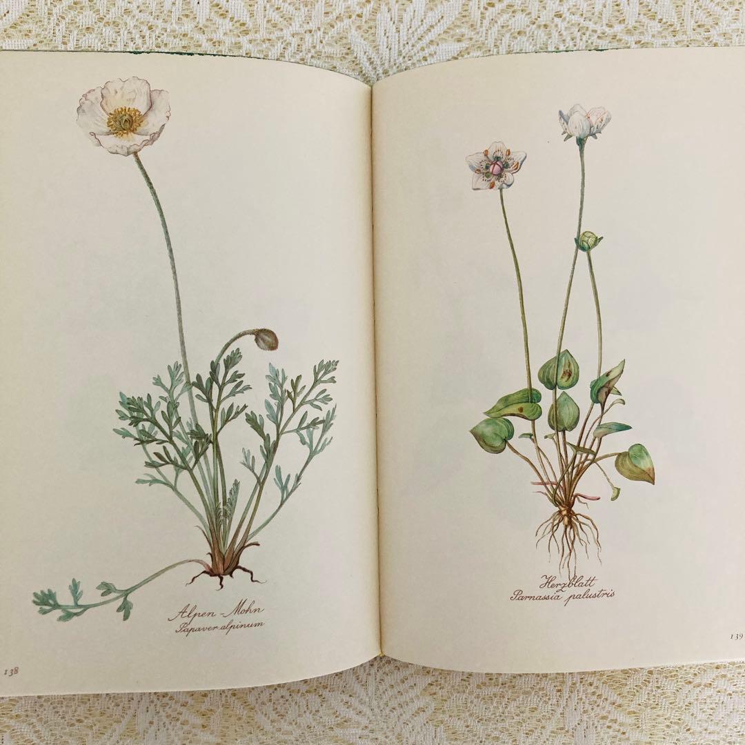 希少　ヴィンテージ植物図鑑2巻セット　繊細で美しい植物画300点　洋書・古書