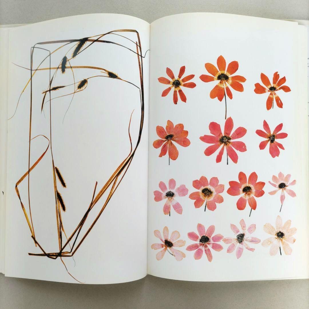 FLORA:Nick Knight/ニック・ナイト 写真集 植物標本 アート