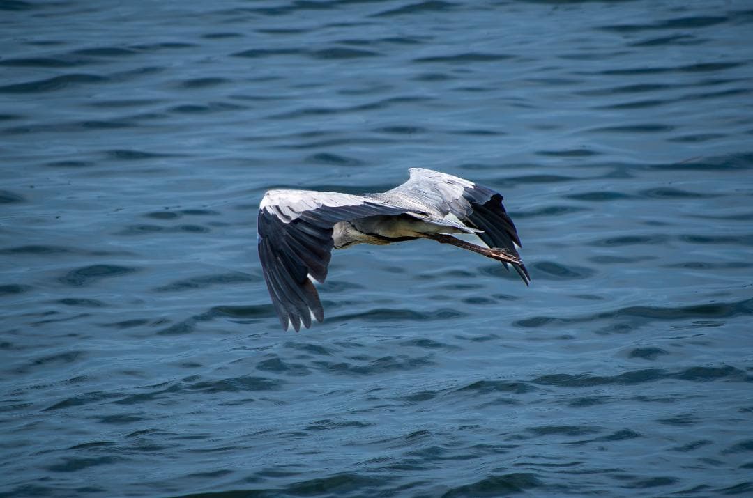 【訳アリ】【黒死病対策済】【内臓電池交換済】PENTAX K-30