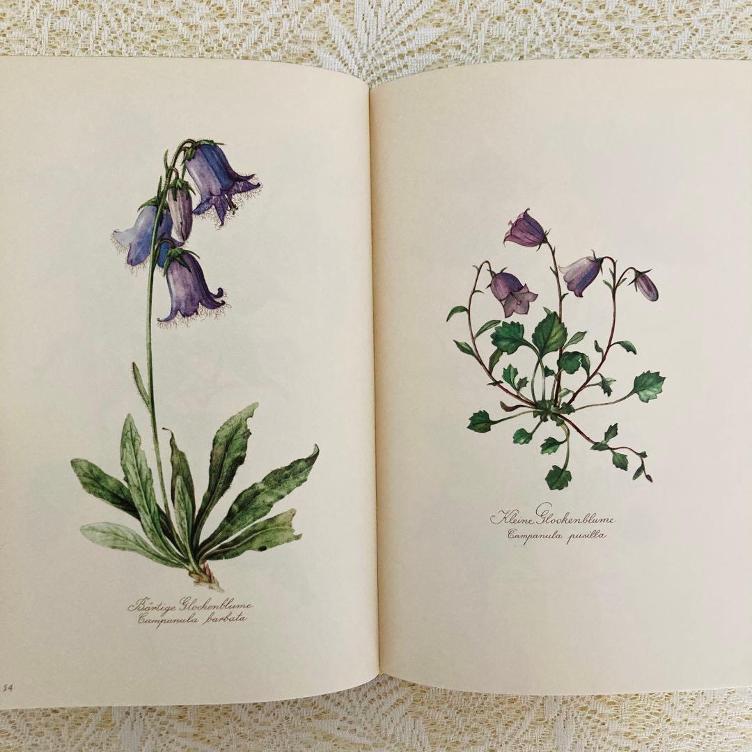 希少なヴィンテージ植物図鑑2巻セット　繊細で美しい植物画300点　洋書・古書