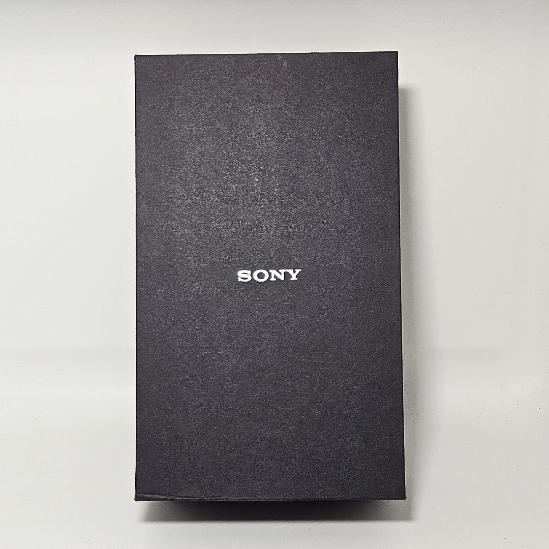 美品 SONY NW-ZX300G 128GB WALKMAN 箱 説明書 本体