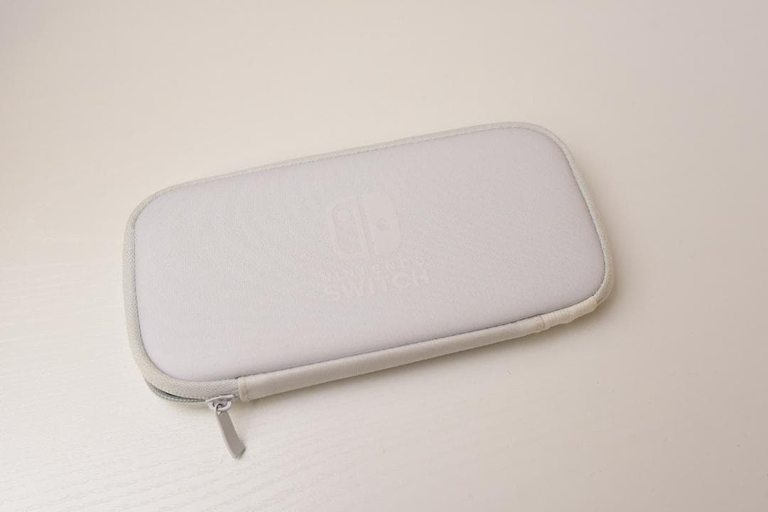 Nintendo Switch Lite グレー 専用ケース付き