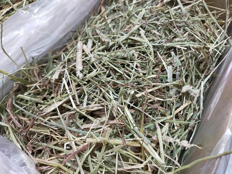 【5/11まで】 カナダ産 チモシー 60kg スーパープレミアム １番刈り