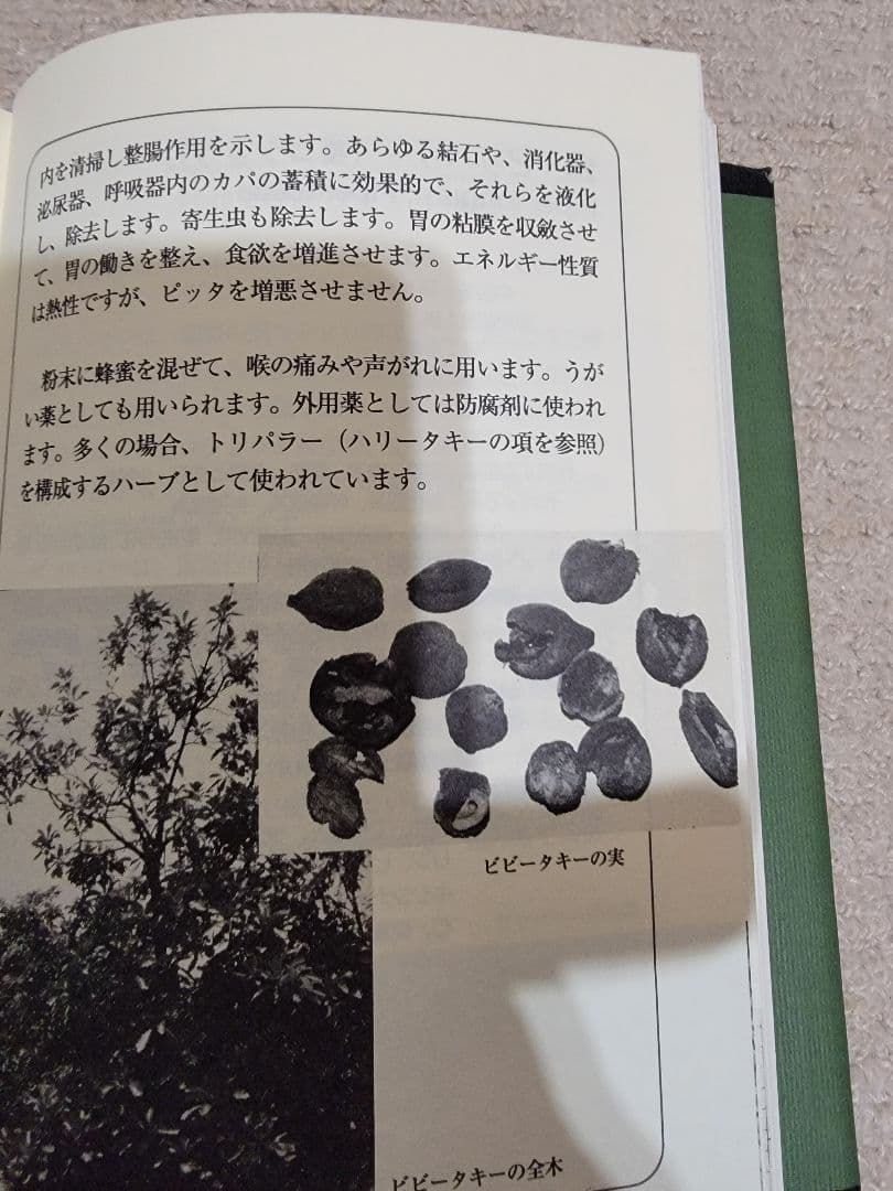 L*u様 アーユルヴェーダのハーブ医学 : 東西融合の薬草治療薬