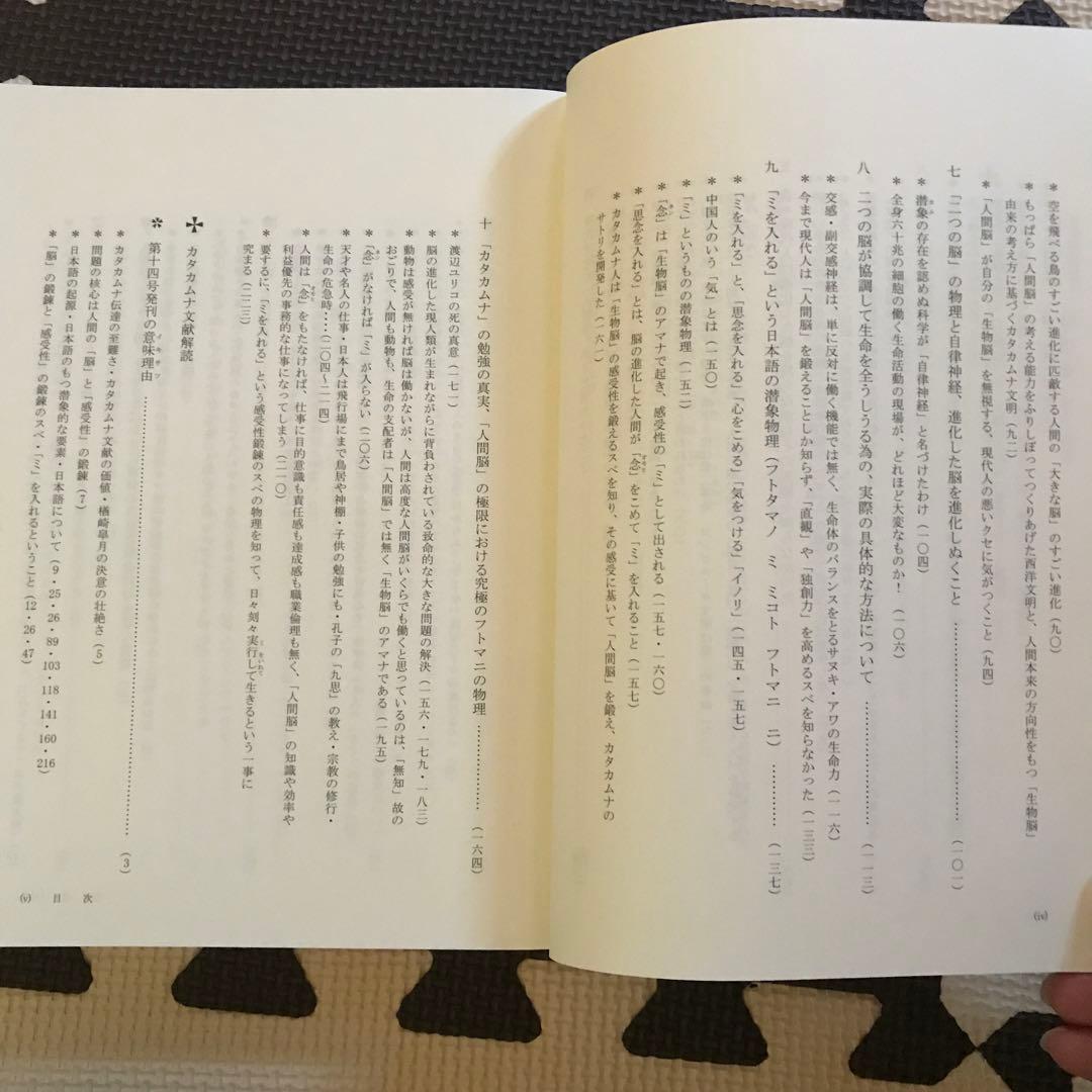 相似象学会誌　相似象　第１４号