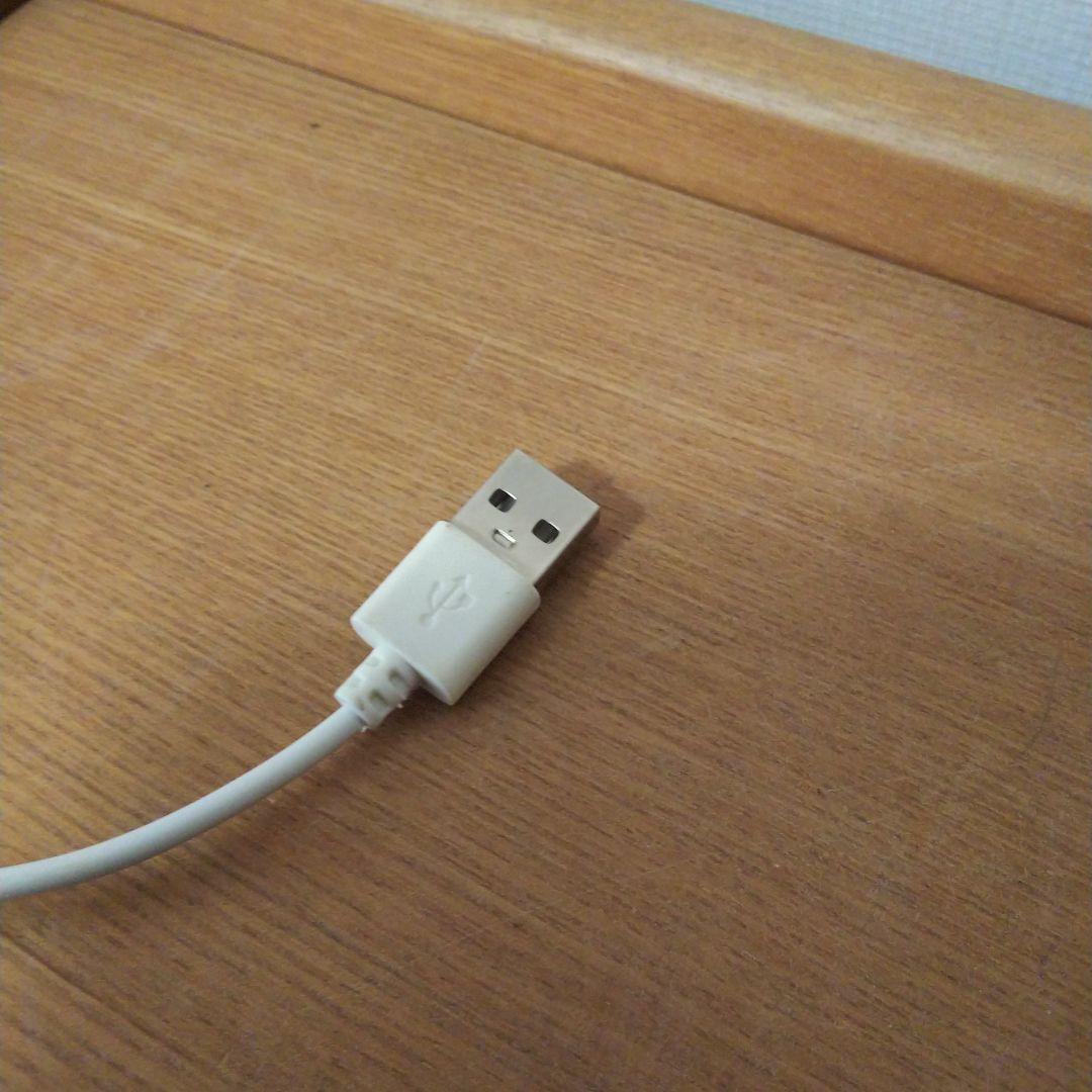 【完成品】滝の流れるアクアテラリウム　イモリウム　苔　　アクアテラリウム完成品