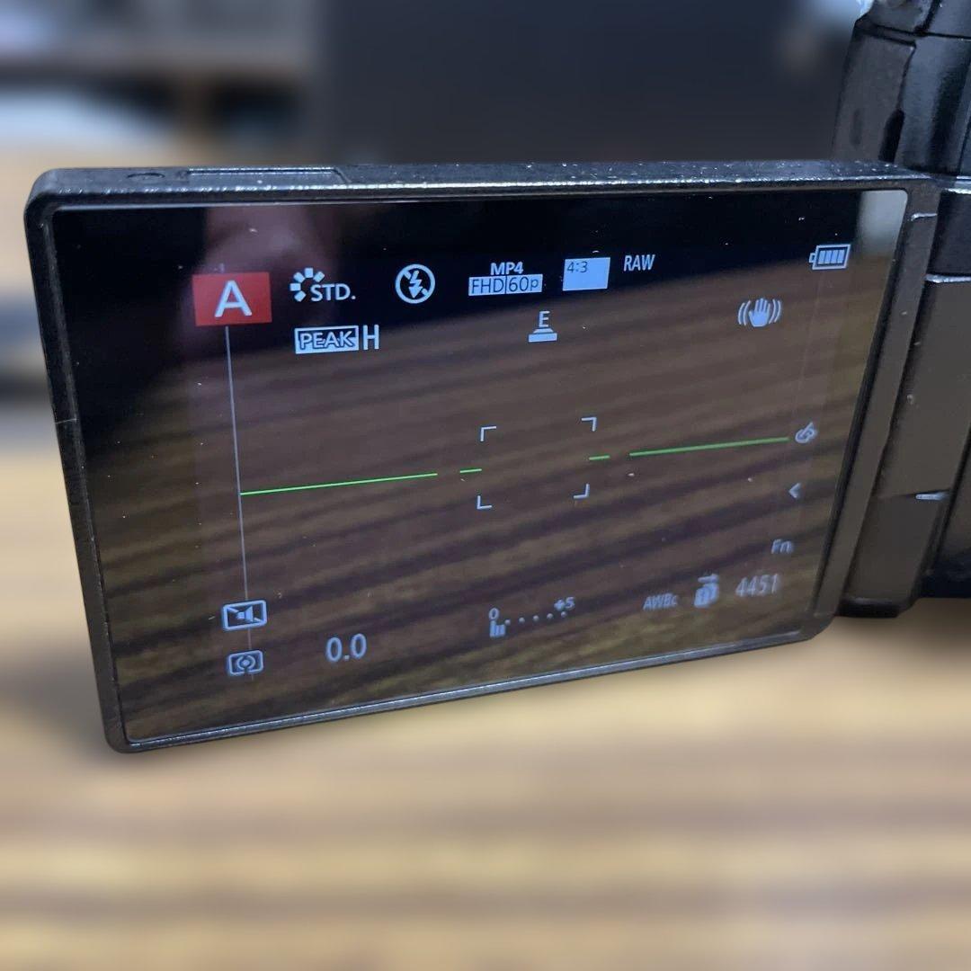 11/30まで。値下げします。 LUMIX G9 ミラーレス一眼カメラ