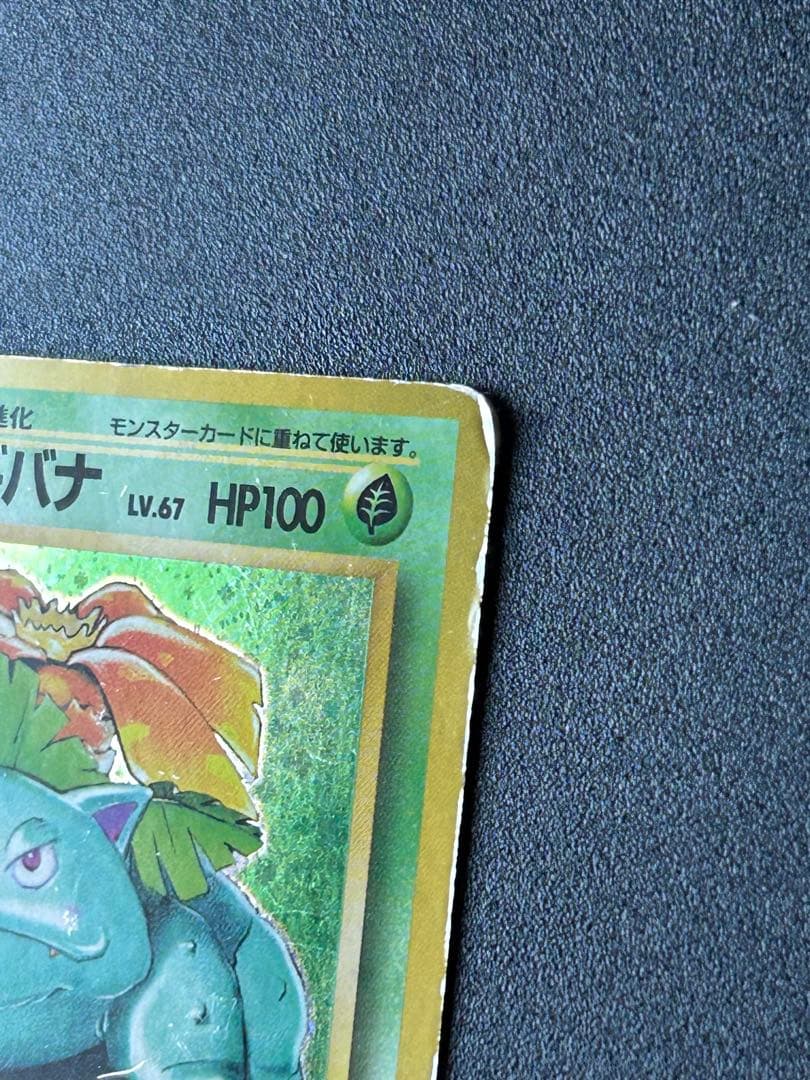 フシギバナ ★ 第1弾拡張パック（旧裏 初版 マークなし）