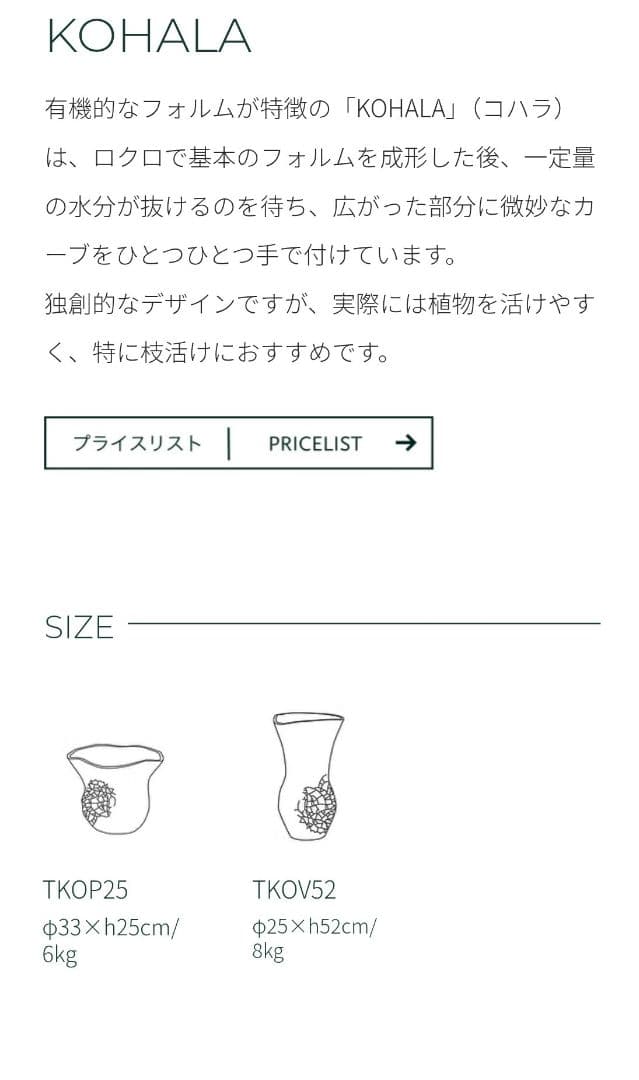 DOMANI ドマーニ　KOHALA TKOP25 / 鉢カバー　鉢