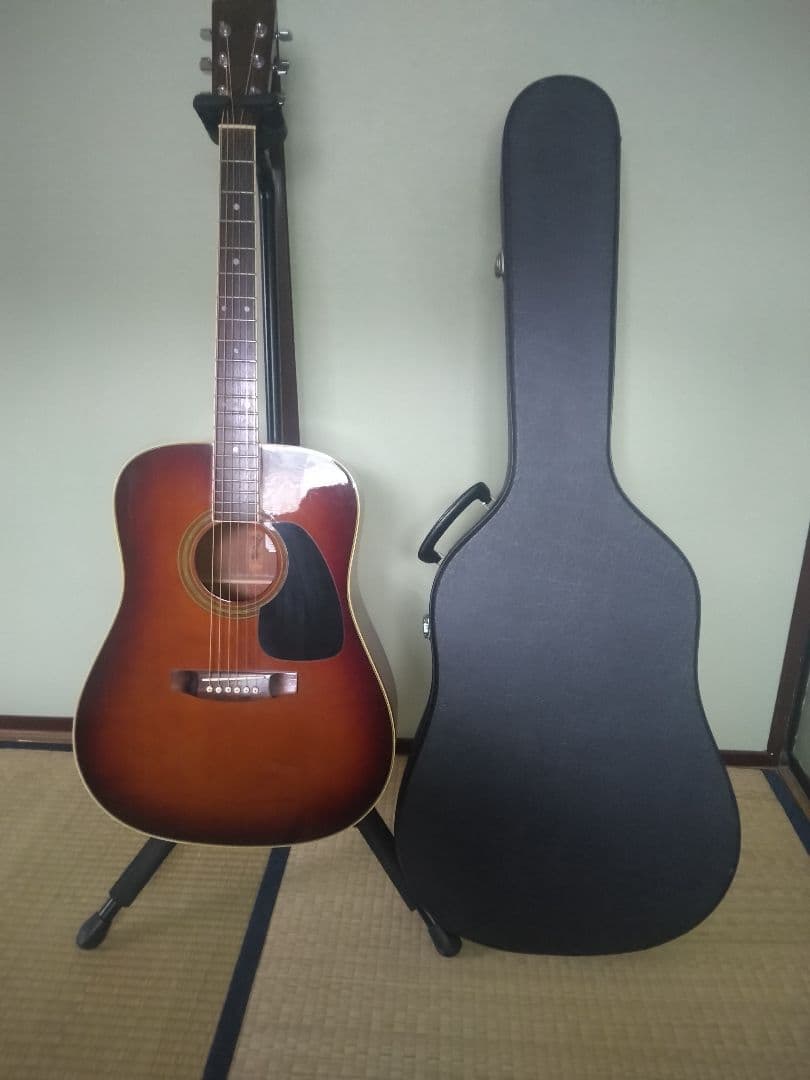 タカミネギター