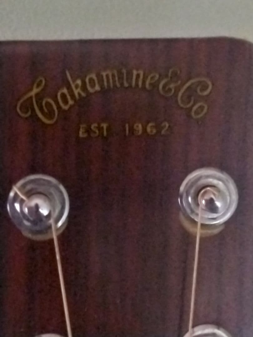 タカミネギター