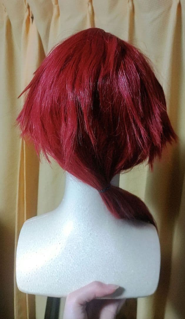 ローレン・イロアス コスプレ衣装女性L一式 ウィッグ付