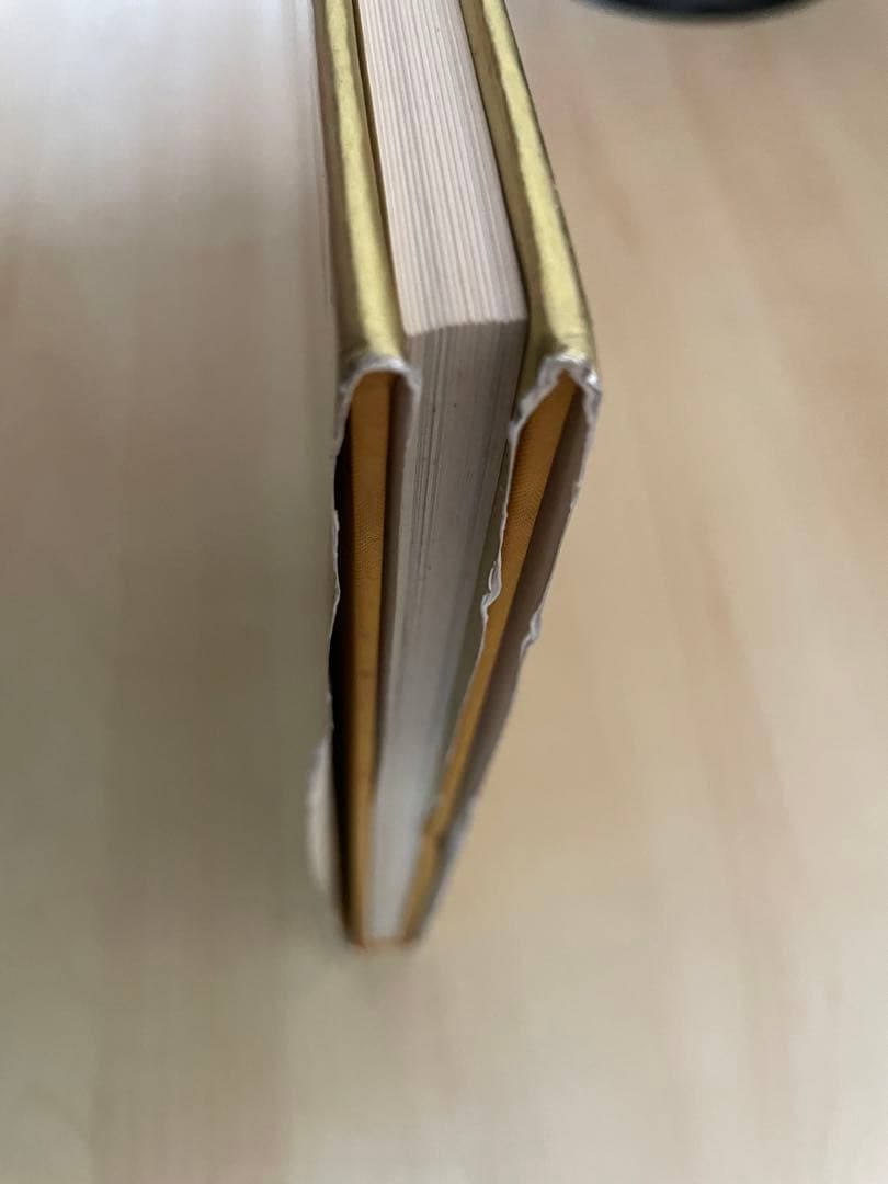 nude of J. 五味彬 トニ・メネグッツォ　サイン付き