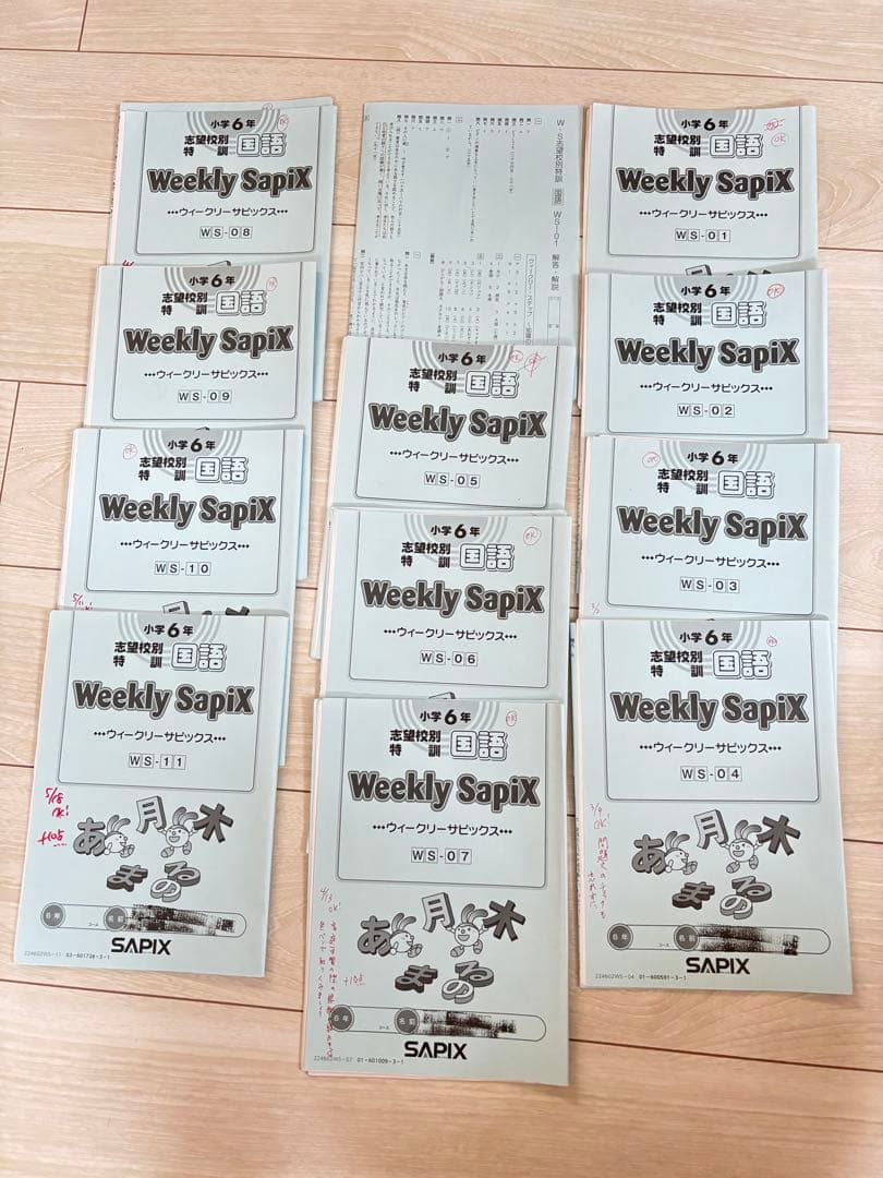 【最新】Sapix 2024年度 6生 国語1年分