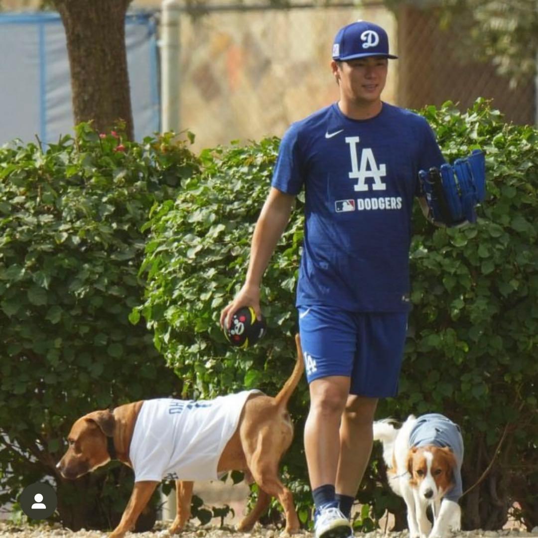 【新品】MLB 2025ドジャース　オーセンティックコレクション　選手着用モデル