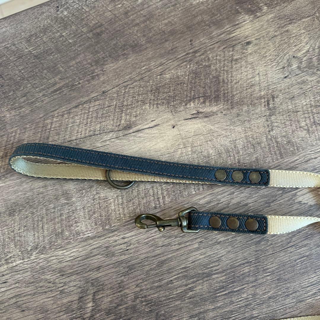 バディベルト　BB ブルージーン5号　ハーネス フルクリスタル　アクセントリード