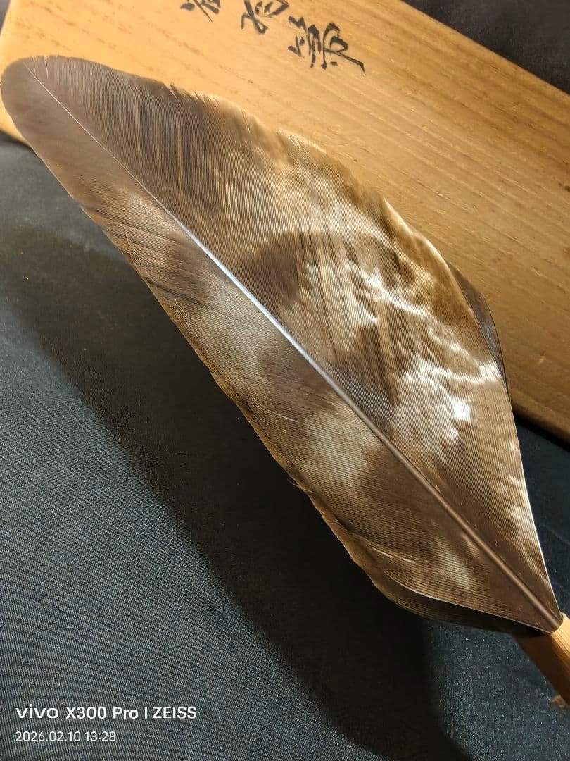 茶道具 鴻鶴 羽箒 炉用 共箱 未使用美品 旧家蔵出し 茶会用 茶釜