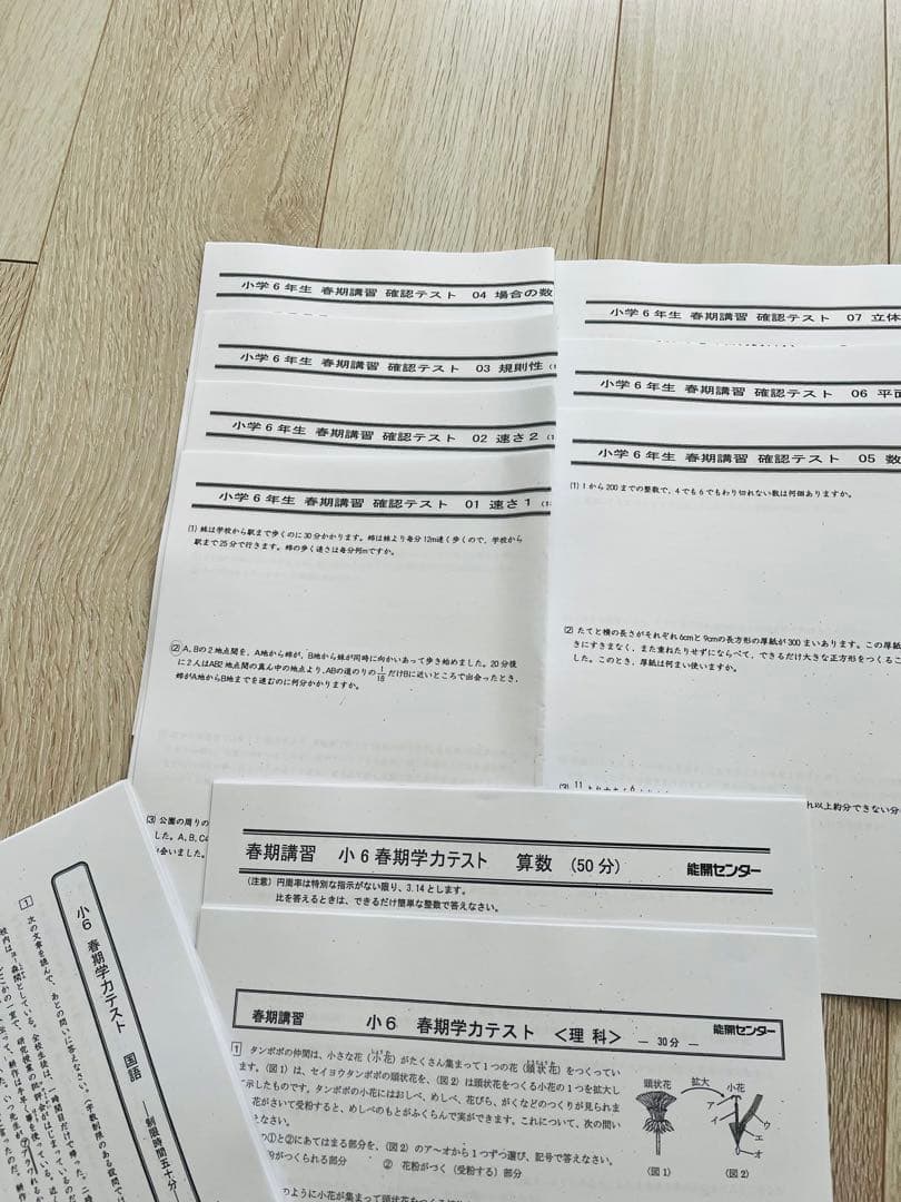 専用　能開センター　中学受験小6用学習資料一式（難関クラス）