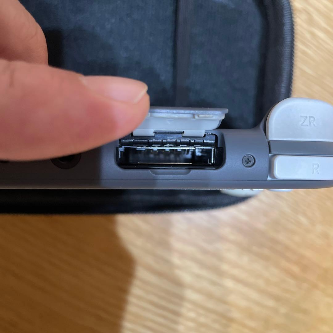 Nintendo Switch Lite グレー本体　動作確認済み　ケース付