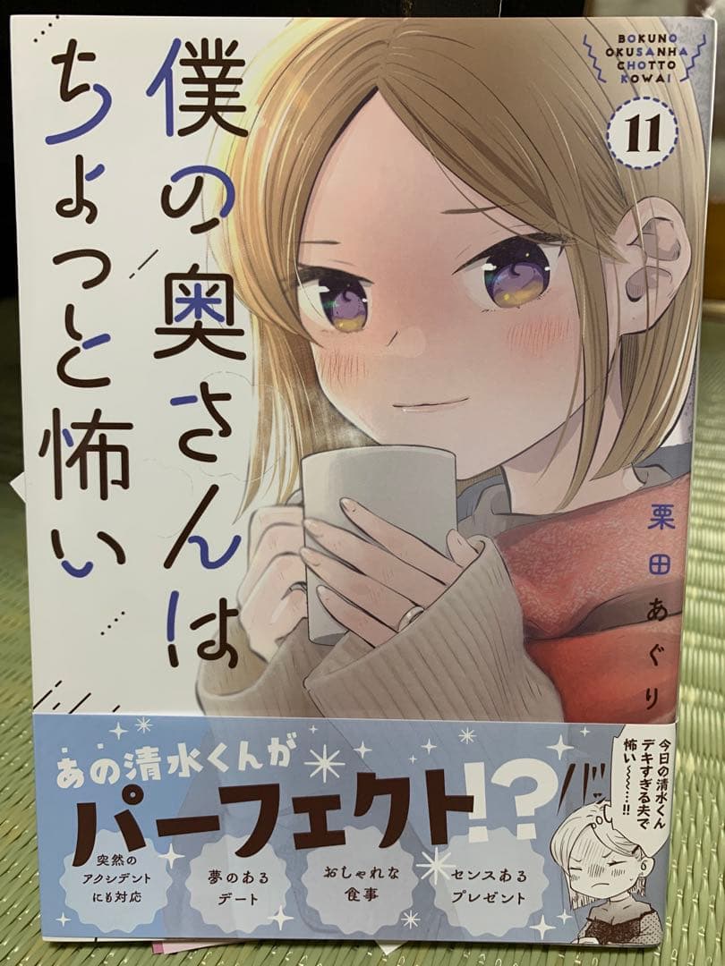 僕の奥さんはちょっと怖い 13巻セット