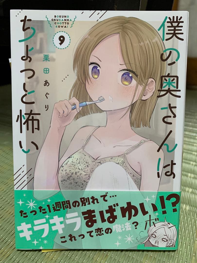 僕の奥さんはちょっと怖い 13巻セット