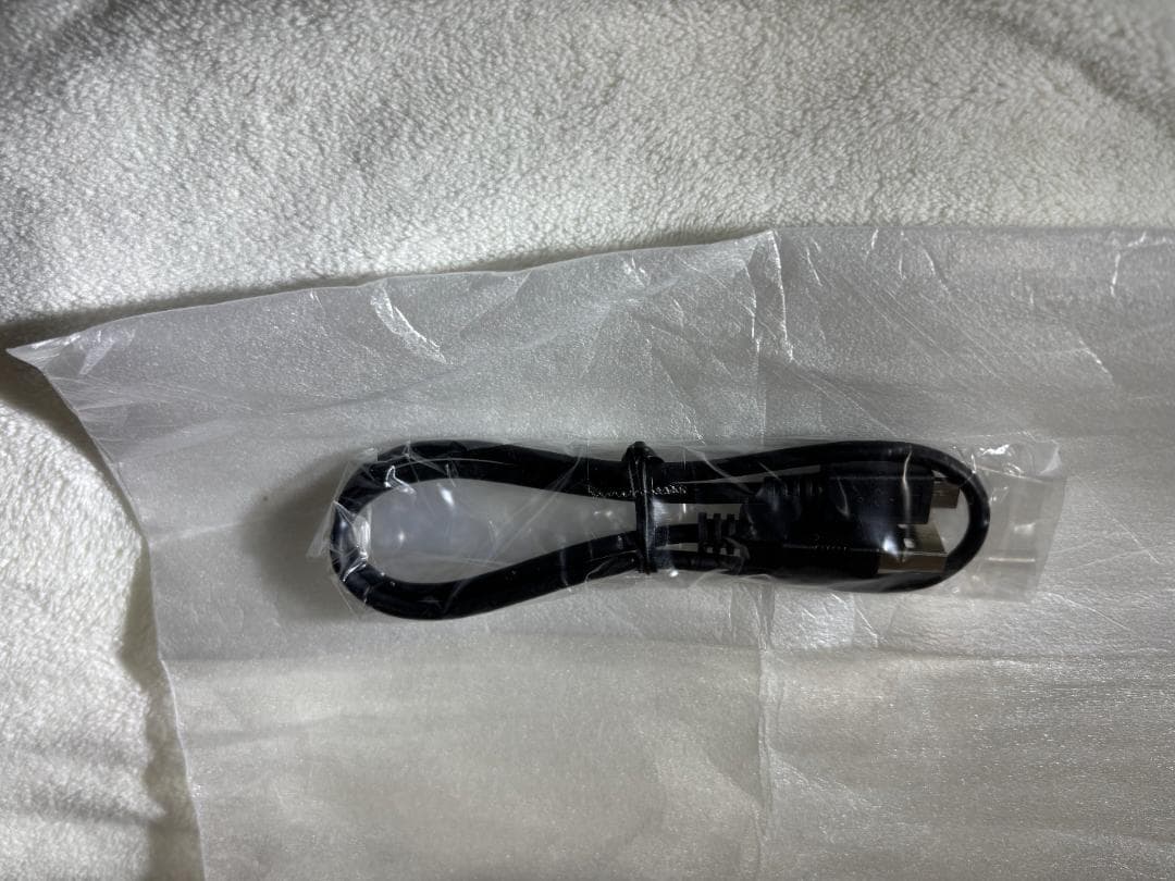 【美品】SRS-HG10 hear go 2 ワイヤレススピーカー