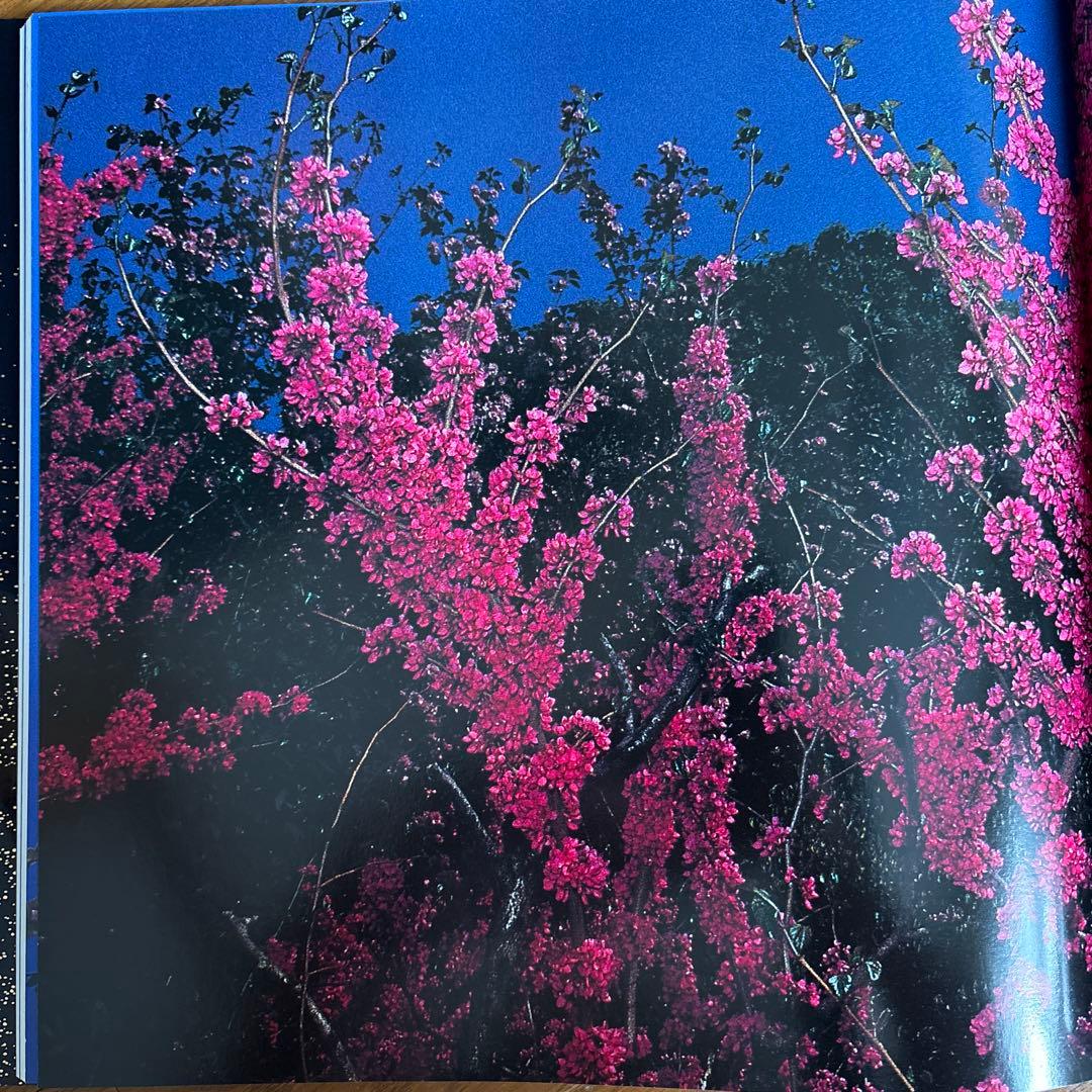 花狩　山村雅昭写真集