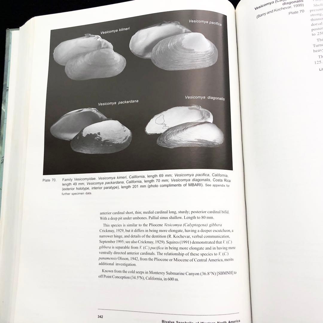 北アメリカ西部の二枚貝 専門書「Bivalve Seashells」