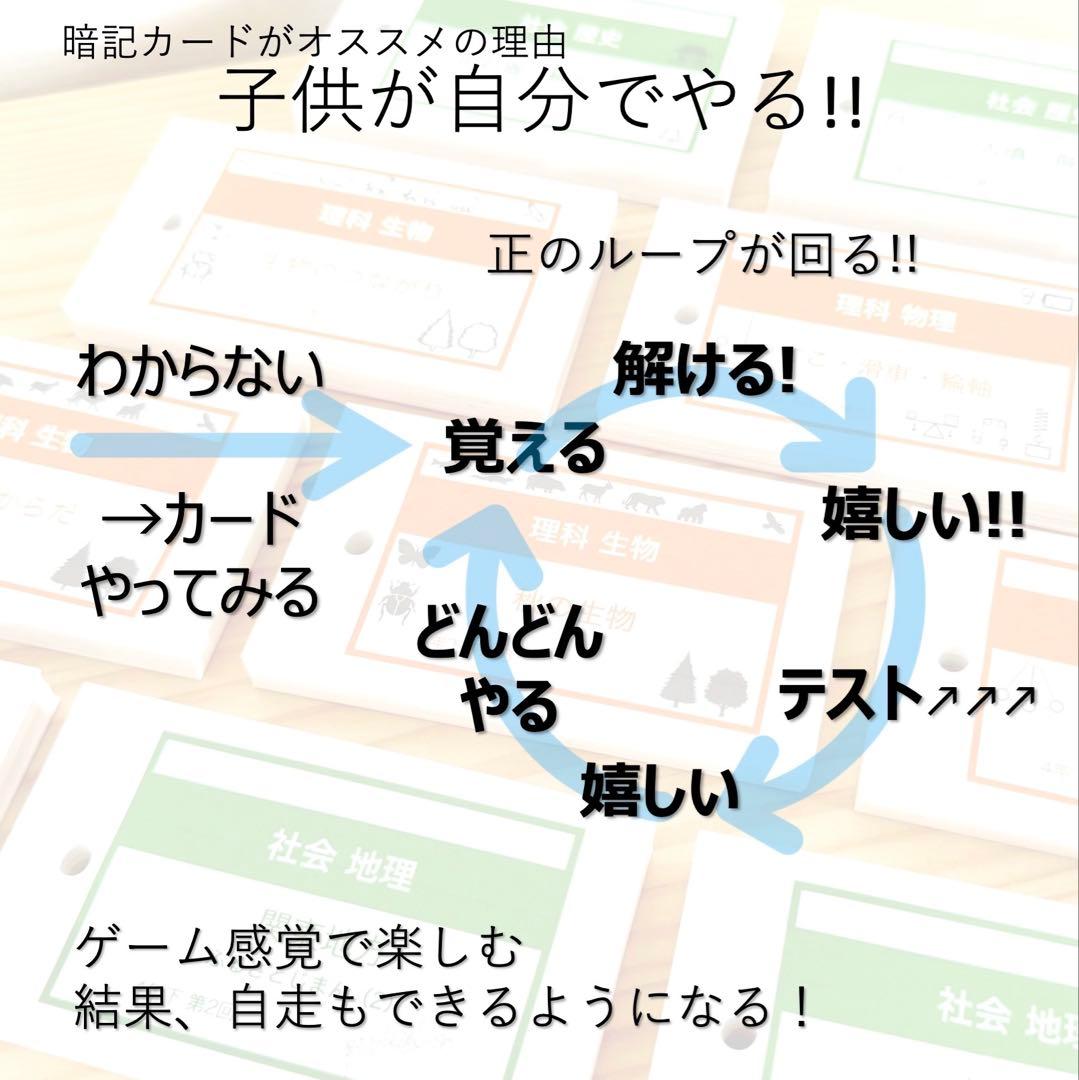 中学受験 暗記カード【5年上 社会・理科11-19回】予習シリーズ 組み分け対策