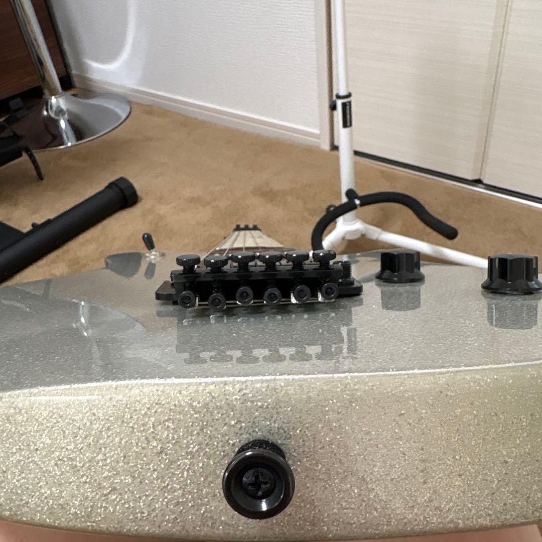 ギター EVH Wolfgang WG Standard BKD MP