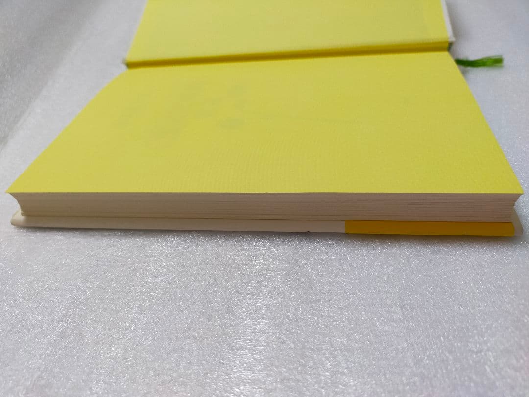 【希少本 レア】「生活充実国」宣言 海江田万里 著 初版