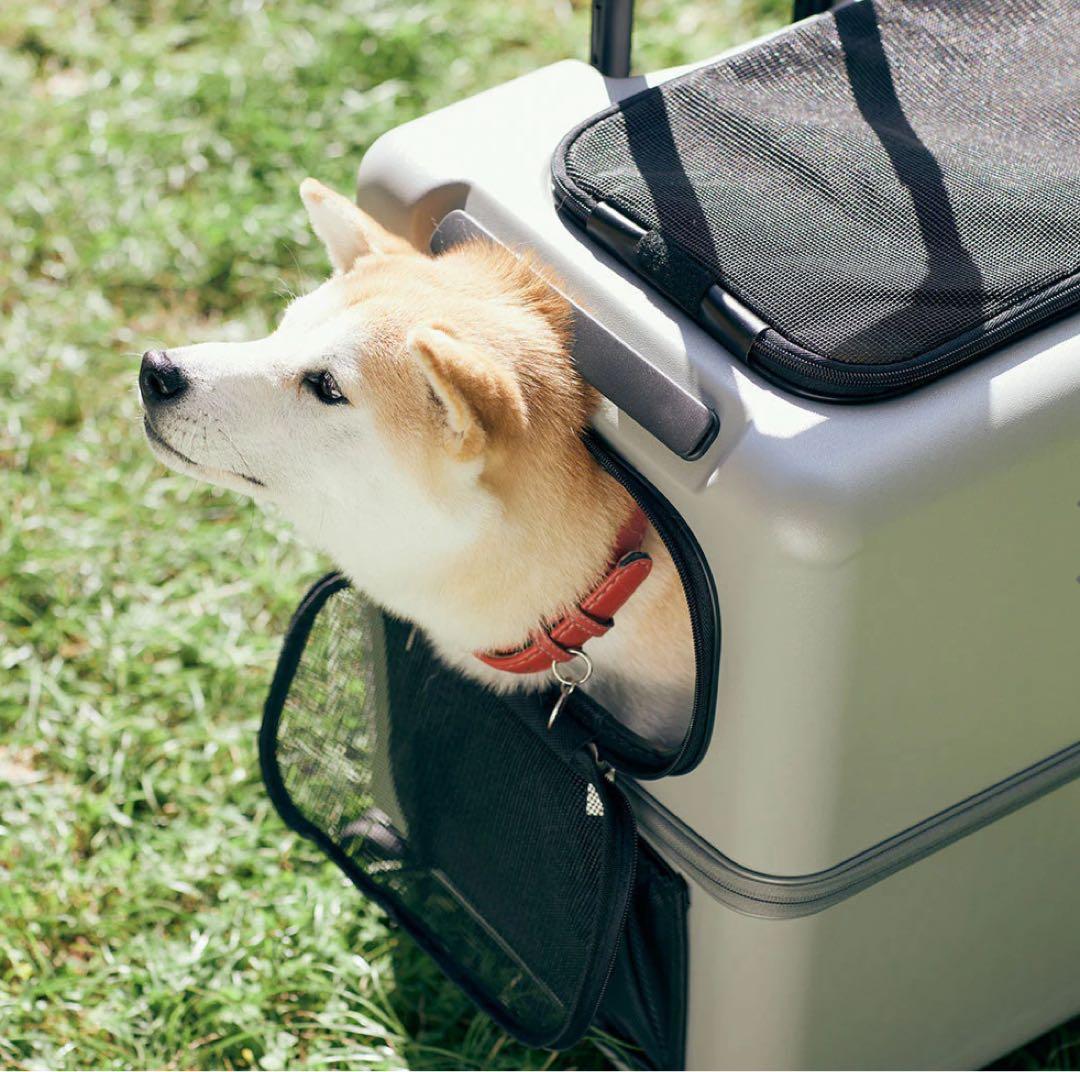 3001-L iCO / PETiCO ペチコ L-サイズ ペットキャリー