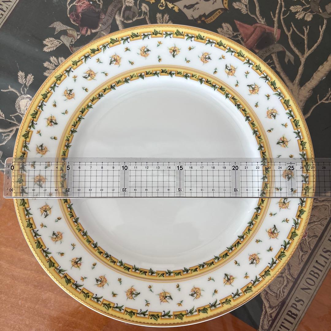 レイノー　ブーゲンビリア　ディナープレート6枚セット【中古】