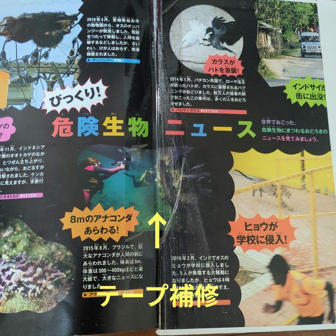 子供　図鑑NEO　図鑑MOVE　図鑑LIVE 16冊　DVD付き まとめ売り