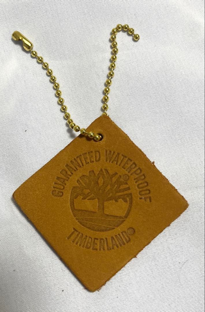 魔術を教えてくださいニャン