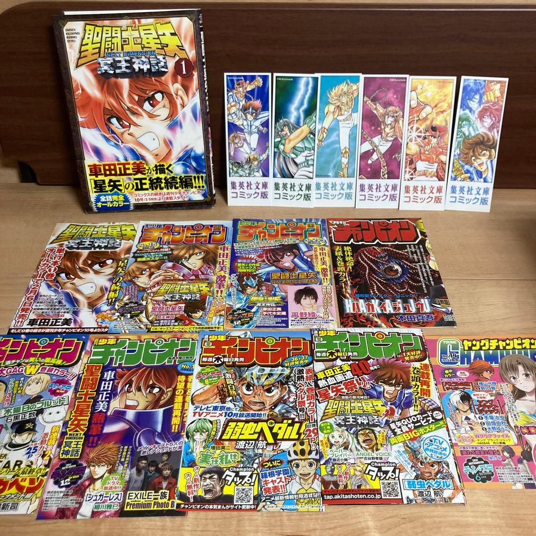 【全巻初版】聖闘士(セイント)星矢 NEXT DIMENSION 冥王神話