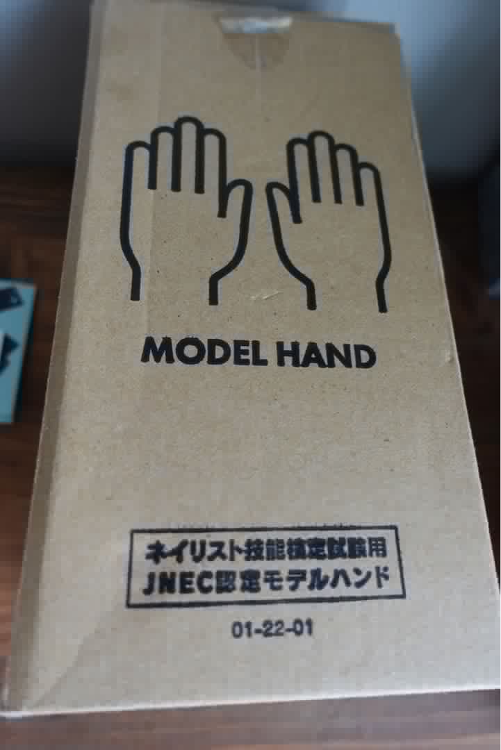 【ネイル検定】認定モデルハンド（使用済・おまけ付き）／箱あり